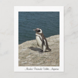 マンショット ポストカード