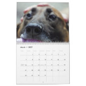 マンズ·フレンドの写真&アート カレンダー (3月 2027)