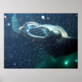 マンタレイでダイビング – ザ・ビッグ・アイランド ポスター (正面)