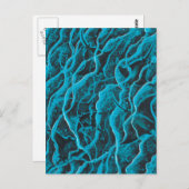 マンタレイズ海魚の動物の波ブルーブラックアート ポストカード (正面/裏面)