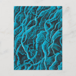 マンタレイズ海魚の動物の波ブルーブラックアート ポストカード