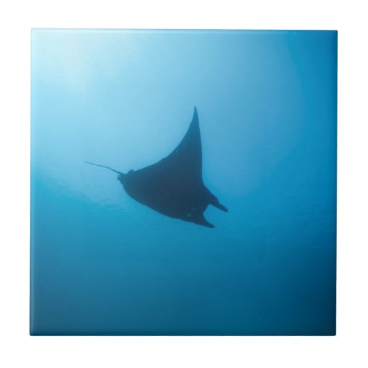 マンタレイブルー海洗浄ステーション タイル (正面)
