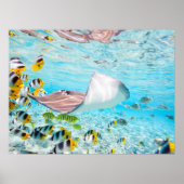 マンタレイ ポスター (正面)