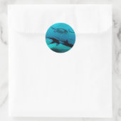 マンタ侵入 ラウンドシール (バッグ)