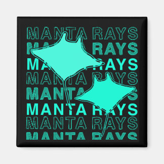 マンタ線磁石 マグネット