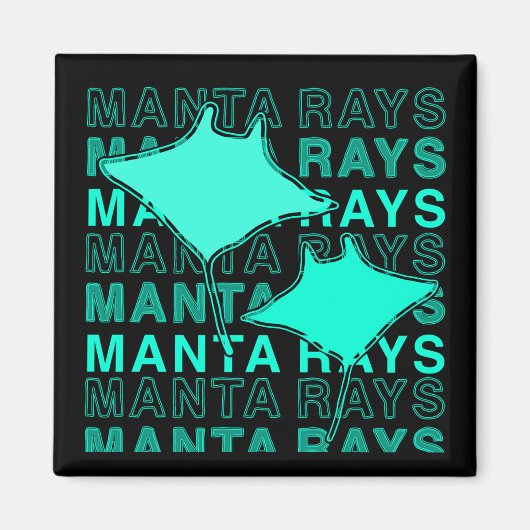 マンタ線磁石 マグネット (正面)