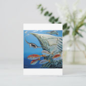 マンタ線 ポストカード (スタンド正面)