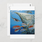 マンタ線 ポストカード (正面/裏面)