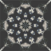 マンダエレガントラ シール (正面)