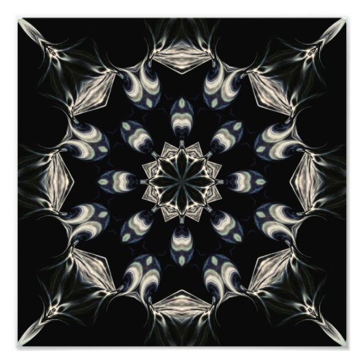 マンダエレガントラ フォトプリント            (正面)