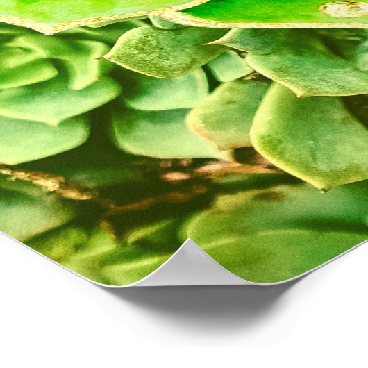 マンダラグリーン金ゴールド抽象芸術多肉撮影 ポスター (角)