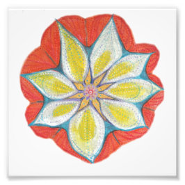 マンダラコダックプロフェッショナル写真紙(サテン) フォトプリント