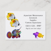 マンダリンのDragonetのハゼの魚の名刺 名刺 (裏面)