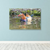 マンダリンアヒル キャンバスプリント (インサイチュ (ウッドフロア))