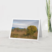 マンダリンオレンジツリーと雪山 カード (正面)