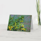 マンダリンオレンジ カード (正面)