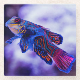 マンダリンゴバイフィッシュ ガラスコースター