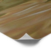 マンダリンダックのポスター ポスター (角)