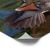 マンダリンダックキャンバス印刷 ポスター (角)