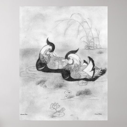 マンダリンダックスのポスター ポスター (正面)