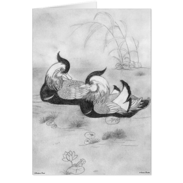 マンダリンダックスカード (正面)