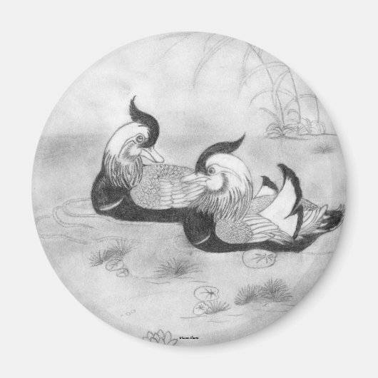 マンダリンダックス磁石 マグネット (正面)