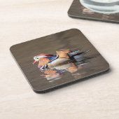 マンダリンダック コースター (左側)