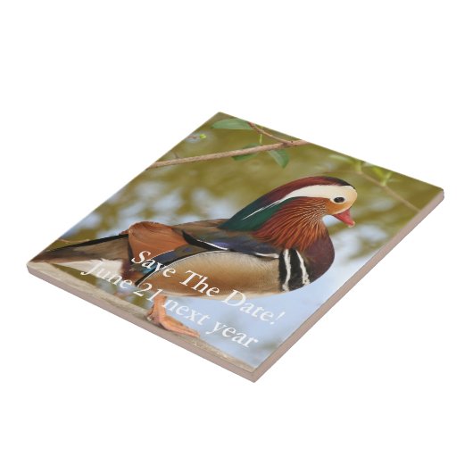 マンダリンダック タイル (側面)