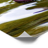 マンダリンダック ポスター (角)