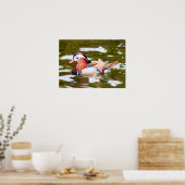 マンダリンダック ポスター (キッチン)