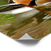 マンダリンダック ポスター (角)