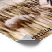 マンダリンペア ポスター (角)