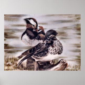 マンダリンペア ポスター