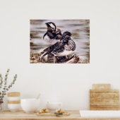 マンダリンペア ポスター (キッチン)