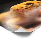 マンダリンレオパードGecko写真 フォトプリント (角)