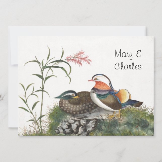 マンダリン中国のダック絵画ズ (正面)