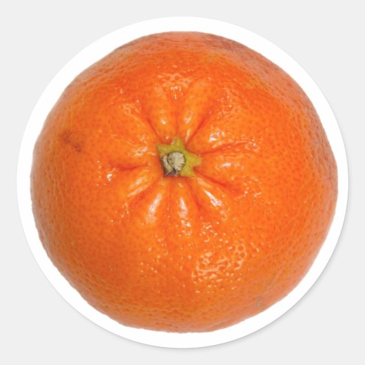 マンダリン2 ラウンドシール (正面)