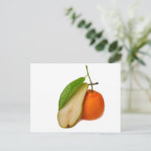 マンダリン – Virtuoso double-bass player ポストカード (スタンド正面)