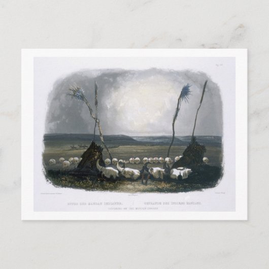 マンダンインディアンの提供,プレート14 from Volu ポストカード (正面)