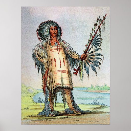 マンダンインディアンハナタフムア、ウルフチーフ ポスター (正面)