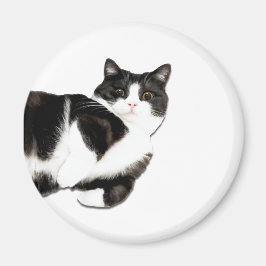 マンチェスターの「ハイ！」 マグネット