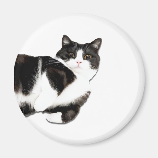 マンチェスターの「ハイ！」 マグネット (正面)