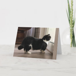 マンチェスターはカードを渡している カード