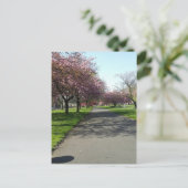 マンチェスターイン春 ポストカード (スタンド正面)