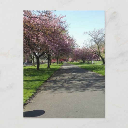 マンチェスターイン春 ポストカード (正面)