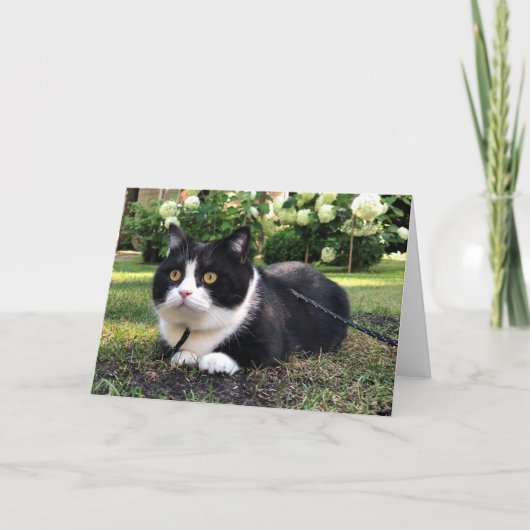 マンチェスターオン自然カード カード (正面)