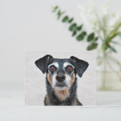 マンチェスターテリアX – ヨルダン – エラー出力 ポストカード (スタンド正面)