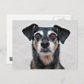 マンチェスターテリアX – ヨルダン – エラー出力 ポストカード (正面/裏面)