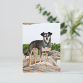 マンチェスターテリアX – ヨルダン – エラー出力 ポストカード (スタンド正面)