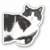 マンチェスター「こんにちは！」 シール (正面)